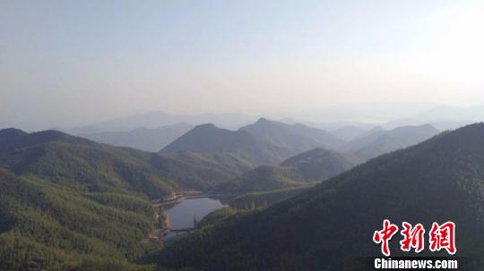浙江省林业厅：浙江森林覆盖率达61%生态价值5343亿元