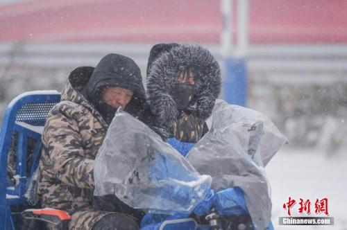 1月25日，安徽合肥降下大雪。 张娅子 摄