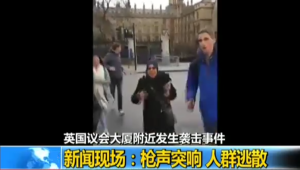 英国议会大厦附近发生袭击：枪声突响人群逃散
