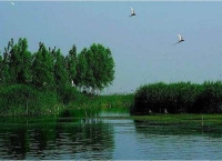 天津织密生态保护“制度笼子” 守护绿水青山