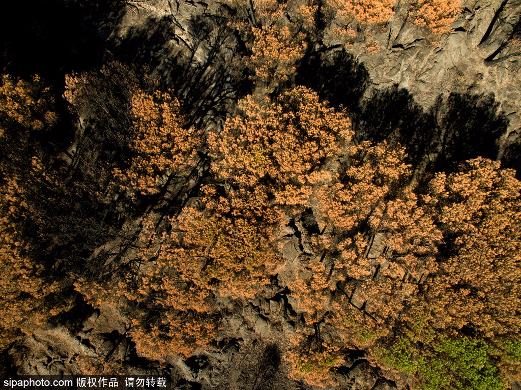 意大利维苏威火山山火过后 地表“斑驳”成焦土【2】