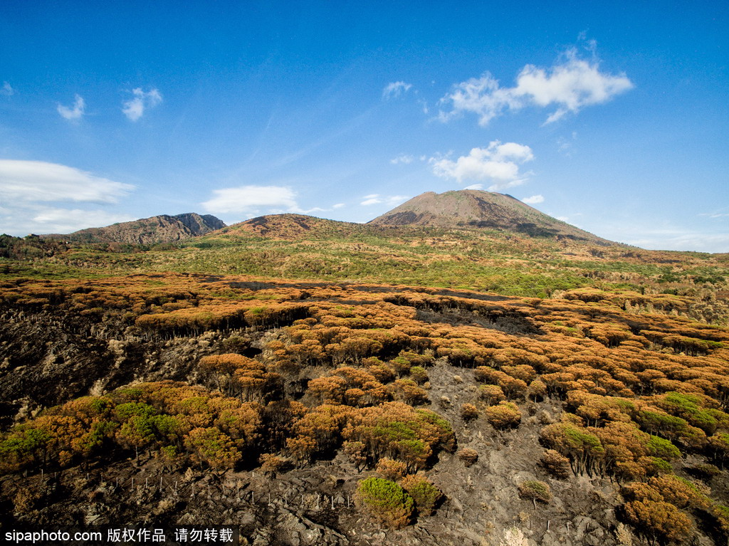 意大利维苏威火山山火过后 地表“斑驳”成焦土【4】