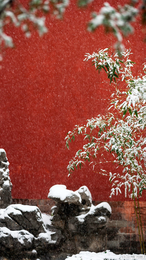 故宫官微晒雪景照 网友点赞：美如画