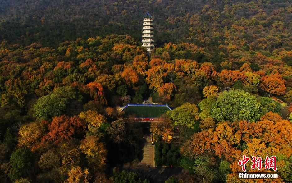 俯瞰南京紫金山 最后的秋景迷人依旧