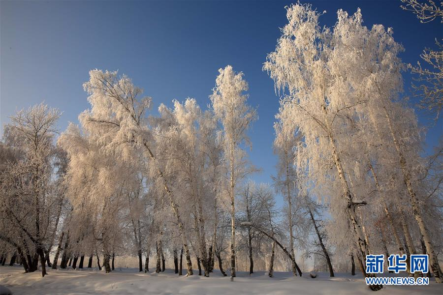 #（美丽中国）（6）阿勒泰雪后雾凇美