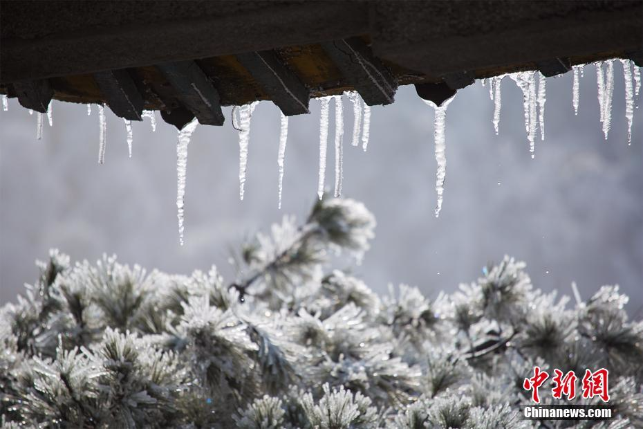 春雪、雾凇、冰挂装扮江西庐山宛若童话世界