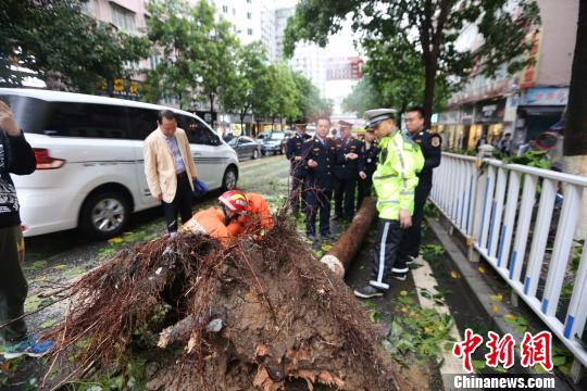 重庆奉节暴雨袭城消防紧急驰援已达数十次