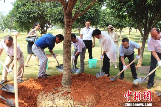 长沙与日本鹿儿岛共庆35年友城“生日”情缘“再升级”