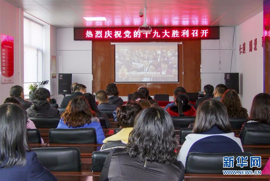 （十九大时光·图文互动）（3）全面从严治党，以更高能力和水平引领新时代——来自基层蹲点现场的报道