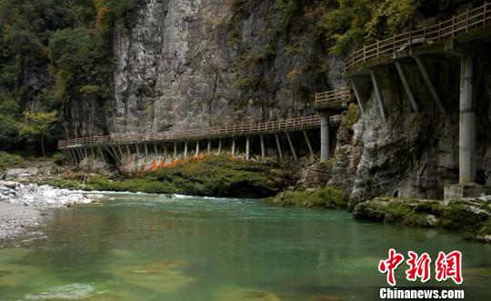 图为米仓山古栈道。　刘忠俊 摄