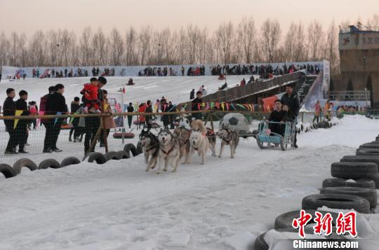 玩冰雪、赏花灯、赶庙会、品美食、逛贾街成为贾家庄今年春节吸引八方游客的最大亮点。　司步升 摄